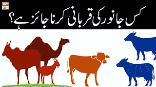 Kis Janwar Ki Qurbani Karna Jaiz Hai  Islamic Knowledge  ARY Qtv [upl. by Emanuele]