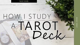 How I Study a Tarot Deck [upl. by Nonnag]