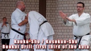 Practical Kata Bunkai KankuSho  KosokunSho [upl. by Hsemin]