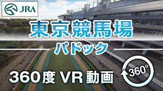 【360度VR動画】東京競馬場 パドック  JRA公式 [upl. by Calandria]