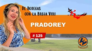 DE BODEGAS CON LA BRUJA VIR 05112024 [upl. by Ahsilad]