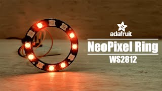 Getting Started with RGB NeoPixels WS2812B [upl. by Seem]