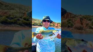 Roosevelt Lake Camping amp Fishing [upl. by Novej]