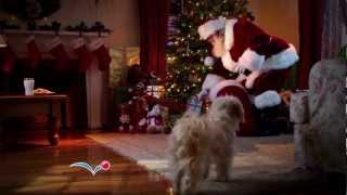 PetSmart commercial  2011 Holiday Campaign quotSantaquot [upl. by Kincaid]