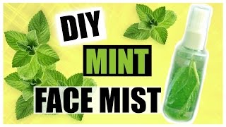 DIY Mint Face Mist for Acne Oily Skin Skin Toner Blackheads amp Dry Skin [upl. by Halika]