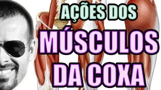 Vídeo Aula 122  Anatomia Humana  Sistema Muscular  Músculos da Coxa Quadríceps e Isquiotibiais [upl. by Haslett582]