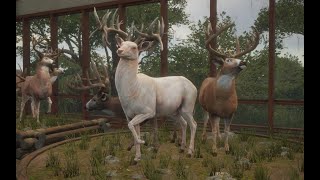 Albino Great One Whitetail Spawn theHunterCOTW [upl. by Lombardo252]