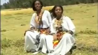 Ethiopian Music׃Manalemosh Dibo [upl. by Kosse]