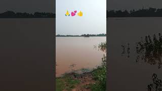 song Andhra Pradesh Barish Pani 🙏 [upl. by Ijok461]