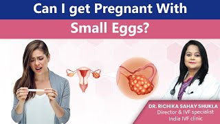 Can I get Pregnant With Small Eggs Dr Richika Sahay Shukla [upl. by Jonny]