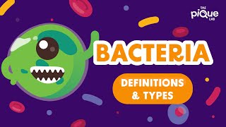 Bacteria Definition amp Types  Primary School Science Animation [upl. by Fong361]