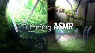 Underwater Gardening  ASMR Water Sounds [upl. by Anirtep]