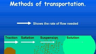 Transport of Sediment in Rivers and Sea  Diagram and explanation [upl. by Ahseiym53]