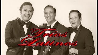 Los Mejores Trios Latinos De La Historia Full AlbumÁlbum Completo Vol 1 Voces Del Bolero [upl. by Inglis547]