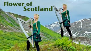 Flower of Scotland  Harp Twins [upl. by Maible]