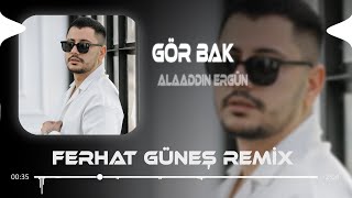 Alaaddin Ergün  Gör Bak  Ferhat Güneş Remix [upl. by Anaer]