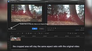 How to Crop a Video in EaseUS Video Editor [upl. by Etep]