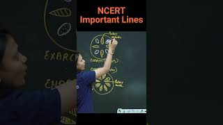 Exarch amp Endarch  tips amp tricks  Revision Biology NEET  NCERT important lines for NEET  neet [upl. by Haney754]