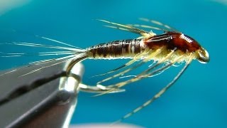 Tying a Small MayFly Nymph by Davie McPhail [upl. by Pellet]