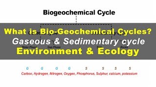 What is Biogeochemical cycles  Environment amp Ecology [upl. by Stalker188]