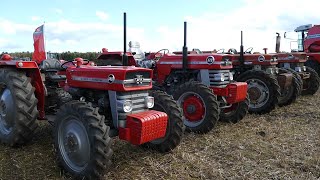 Massey Ferguson 148 178 188 amp 1080 4WD Special Tractor out working in the field  DK Agriculture [upl. by Vinna]