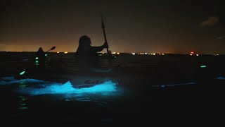 Experience Bioluminescence on Floridas Space Coast [upl. by Wadell]