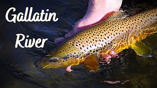 Fly Fishing Trip to the Scenic Gallatin River [upl. by Euqinahs]