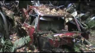 Urbex  Châtillon Car Graveyard Full video [upl. by Namhcan828]