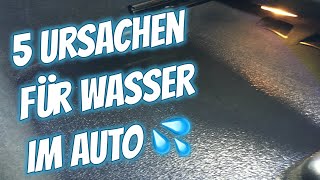 5 Ursachen für Wasser im Auto  Beispiel Audi A4 B6 [upl. by Aneda614]