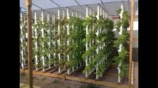 How to  Green House and Vertical Hydroponic System [upl. by Mariellen]