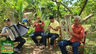 TOCATA IRMÃOS DE PRESIDENTE PRUDENTE SP VISITANDO RUBÃO TUBISTA [upl. by Roch]