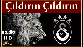 Çıldırın Çıldırın Stüdyo  Galatasaray Marşları [upl. by Oniliuqnart]