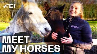 Horse Yard Tour  w Meg Elphick  Guest Vlog [upl. by Jollanta]