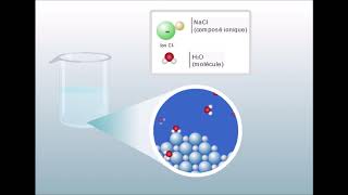 Dissolution du sel dans leau [upl. by Nilrem]