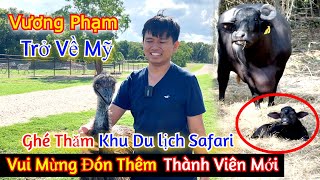 Vương Phạm Trở Về Mỹ Ghé Thăm Khu Du Lịch Safari – Vui Mừng Đón Thêm Thành Viên Mới Cho Vườn Thú [upl. by Noiwtna885]