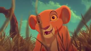 THE LION KING Clip  quotFollow Rafikiquot 1994 Disney [upl. by Otrebmuh]