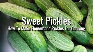 Sweet Pickle Recipe How To Make Homemade Pickles For Canning [upl. by Esdnil409]