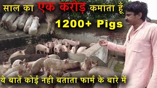 Pig Farming AZ Information  Profit How to Start Process Feeds [upl. by Ahsinrat]