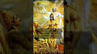 Bhagavad Geetha Shloka  3 Bhagavad Gita [upl. by Wilkey]