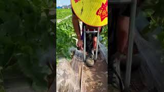 Laborsaving stool for working in farmland [upl. by Esinrahc]