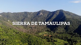 Explorando la naturaleza virgen de la Sierra de Tamaulipas [upl. by Saval]