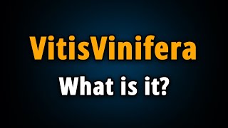 VitisVinifera Extension What Is It amp How to Remove It [upl. by Kolosick539]