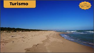 La spiaggia di Petacciato in Molise tra dune e pineta [upl. by Marijn366]