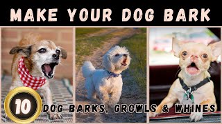 🤔Sounds That Make Your Dog Bark  Dogs Barking Loud  Dog Sounds [upl. by Darelle]