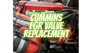 Cummins ISB 67L Engine EGR Valve Replacement [upl. by Benedikt]