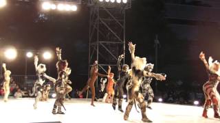 YOSAKOI ソーラン 2015 劇団四季 Cats [upl. by Trescha725]