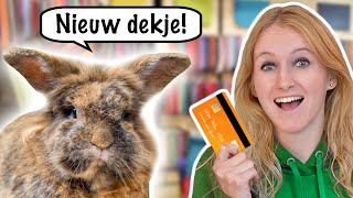 Mijn KONIJN bepaalt welke PAARDENSPULLEN ik koop 🐰🎁 [upl. by Derfniw]