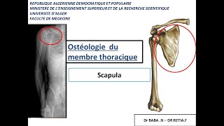 1ére année médecine  anatomie de la scapula et lhumérus [upl. by Venice]