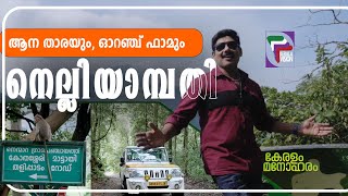 KERALAM MANOHARAM  NELLIYAMPATHY  നെല്ലിയാമ്പതി [upl. by Ecyoj]