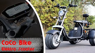 Elektro Scooter Trike mit 3 Rädern EScooter mit Straßenzulassung  ESMotors Bauanleitung [upl. by Serle134]